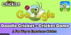 Doodle Cricket - Cricket Game | A Fun Way to Experience Cricket